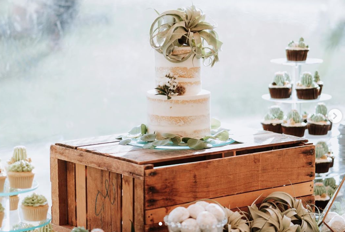 airplant cake, plant wedding cake, new mexico plant cake, new mexico cake