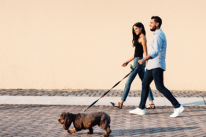 Couple walking their dog together